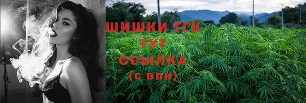 индика Абдулино