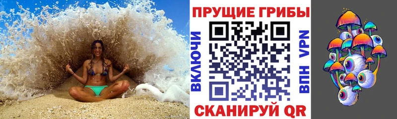 Псилоцибиновые грибы Cubensis  Подпорожье 